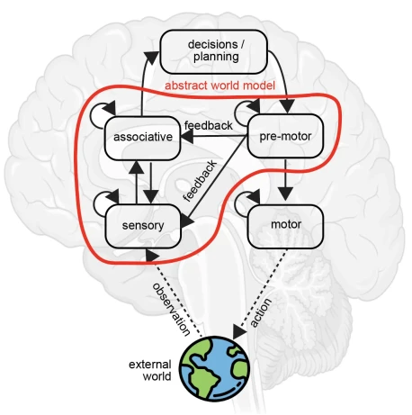 We are hiring: Postdoc Position in Systems Neuroscience