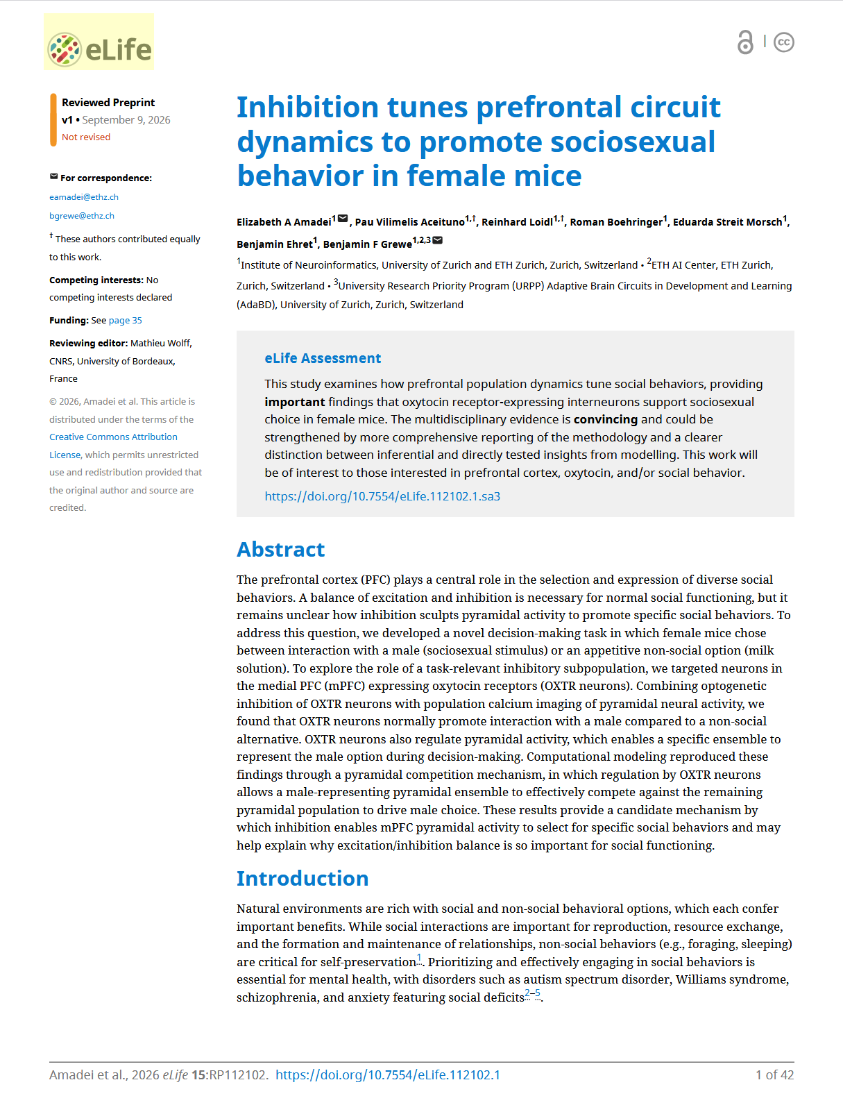 Inhibition tunes prefrontal circuit dynamics to promote sociosexual behavior in female mice