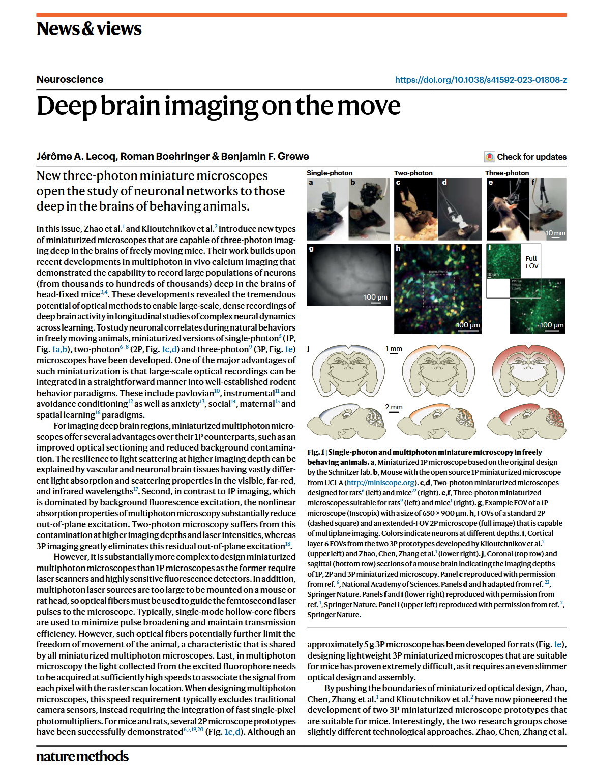 Deep Brain Imaging in the Move