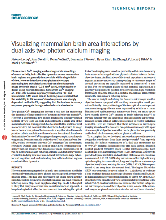 Visualizing mammalian brain area interactions by dual-axis two-photon calcium imaging.